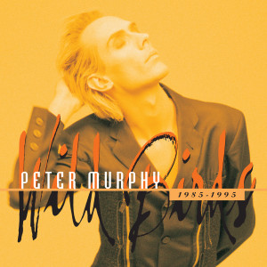 ดาวน์โหลดและฟังเพลง Strange Kind of Love พร้อมเนื้อเพลงจาก Peter Murphy