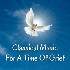 Listen to II song with lyrics from Oslo Chamber Orchestra