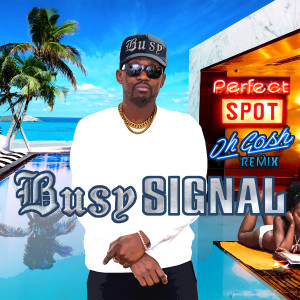 收聽Busy Signal的Perfect Spot (Oh Gosh Remix)歌詞歌曲