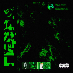 Sace Snake的专辑ГИДРА (Explicit)