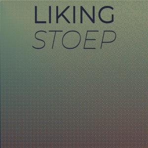 Listen to Liking Stoep song with lyrics from Aine Harie
