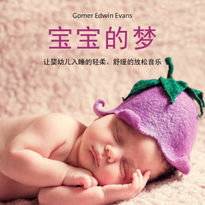 ดาวน์โหลดและฟังเพลง 梦乡快车 พร้อมเนื้อเพลงจาก Gomer Edwin Evans