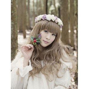 收聽北乃紀伊的CHASE THE SUN歌詞歌曲