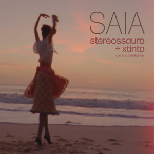 Stereossauro的专辑Saia