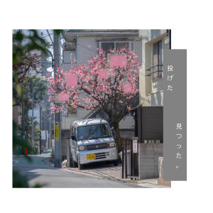 收聽Casio Lamb的Tossed and Found (feat. strxwberrymilk)歌詞歌曲