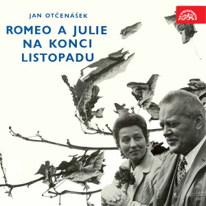 收听Dana Medřická的Romeo a Julie na konci listopadu歌词歌曲