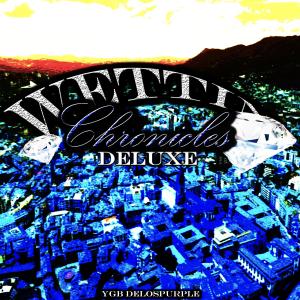 收聽YGB Delospurple的ARMANI VISION (feat. Rober Il Direttore & Brazy Engel) (Explicit)歌詞歌曲