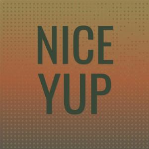 Various Artists的專輯Nice Yup