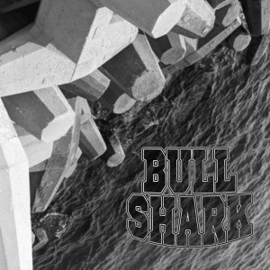 收聽BULLSHARK的Ekronot歌詞歌曲
