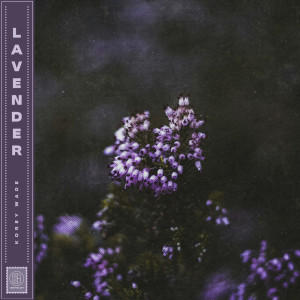 Korey Wade的專輯Lavender