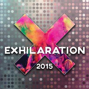 Listen to Exhilaration 2015(feat. Susanne Larsen) song with lyrics from Stekefant