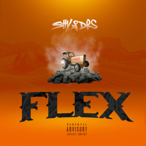 Listen to Flex (Explicit) song with lyrics from SHY & D.R.S