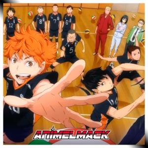 Animelmack的專輯Team Potential (Haikyuu!!)