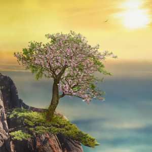 Dengarkan lagu Smooth Piano Lullaby Solo nyanyian Lullaby Solo dengan lirik