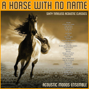 收听Acoustic Moods Ensemble的Save the Last Dance For Me歌词歌曲