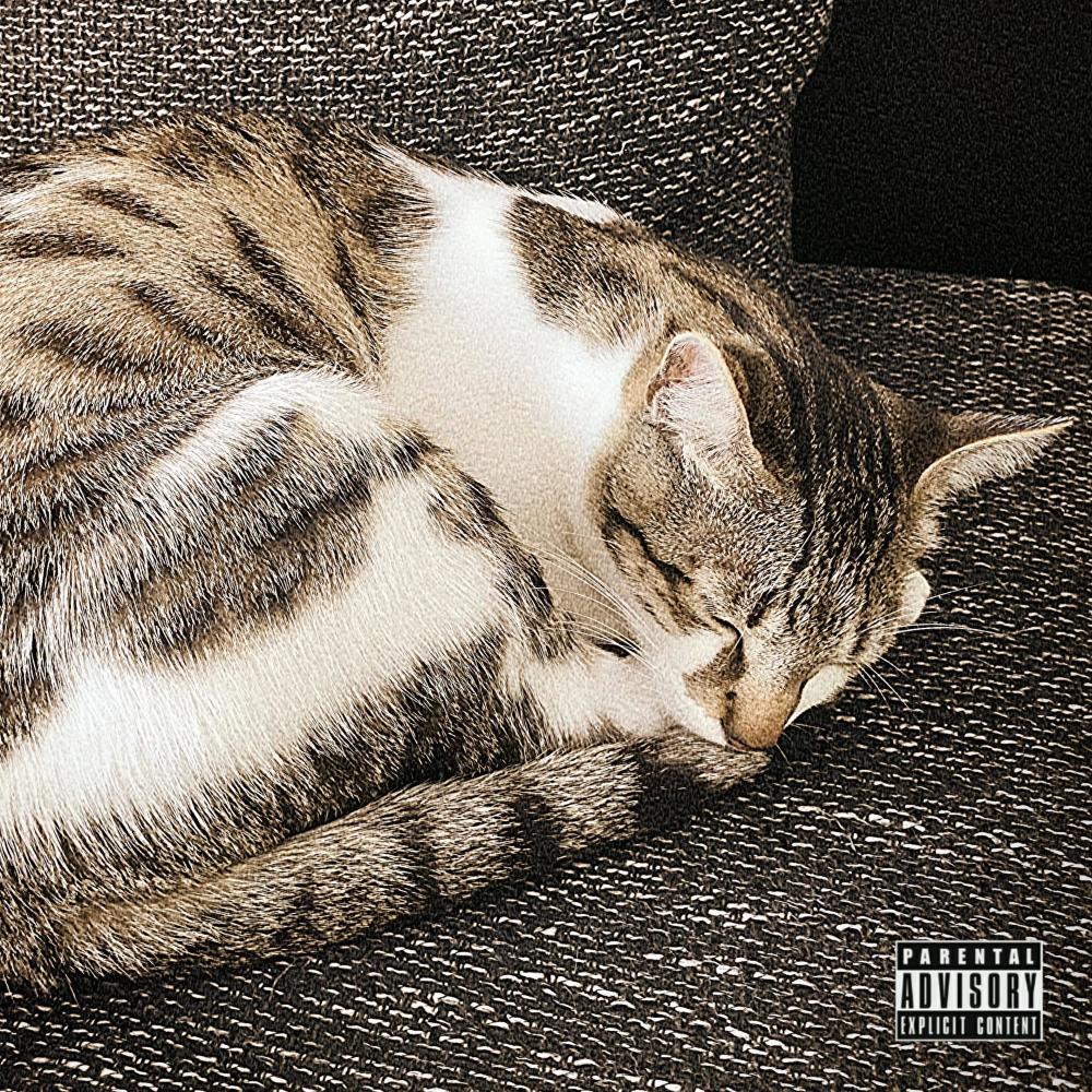 Gatico Echa'o (feat. Slim Hanzo) (Explicit)