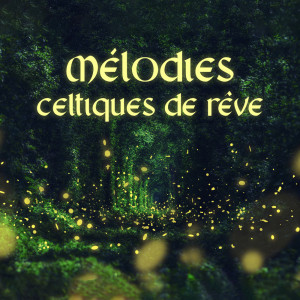 Mélodies celtiques de rêve (La harpe apaisante pour une bonne nuit de sommeil) dari Aide au Sommeil Académie