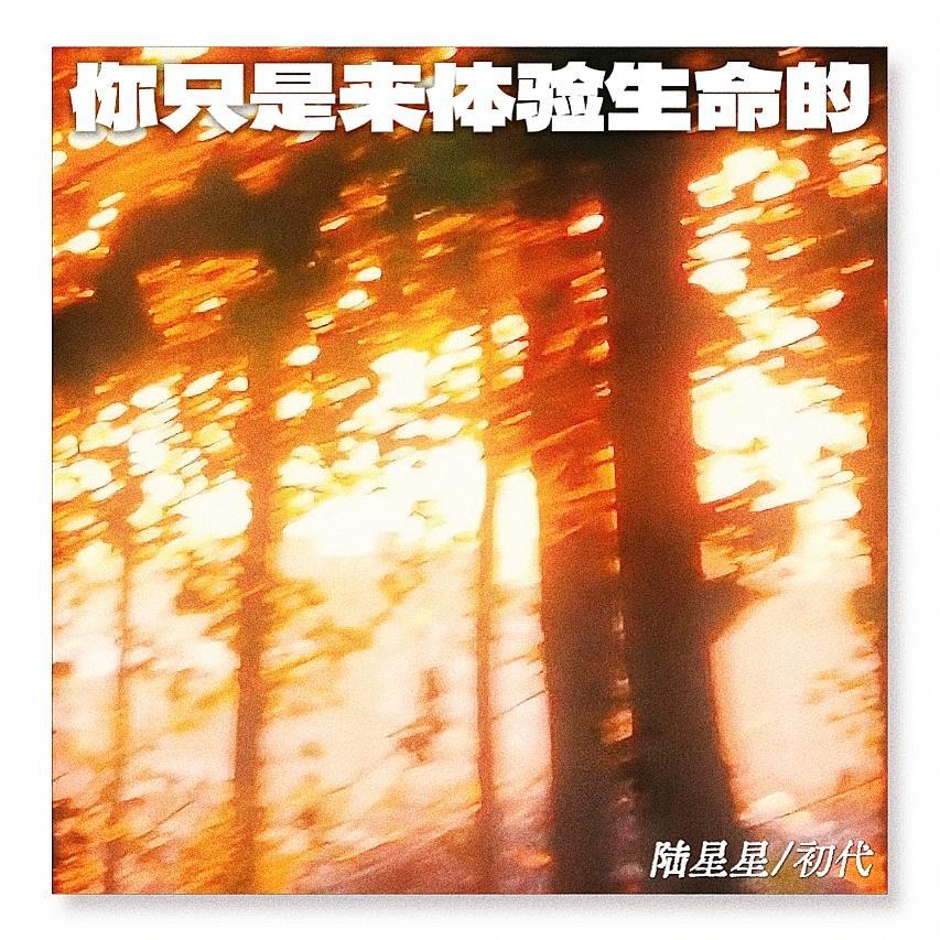 你只是来体验生命的