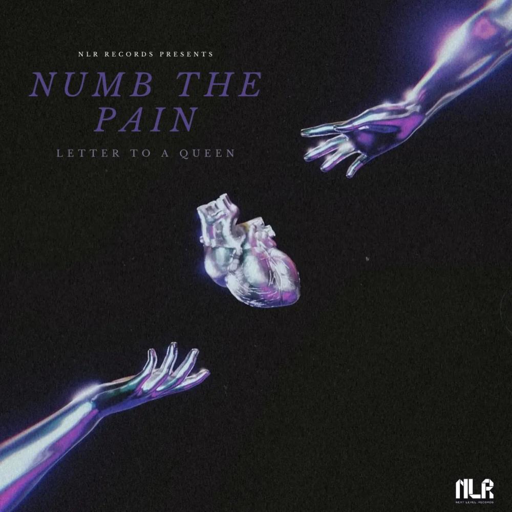 Numb The Pain (L.T.A.Q)