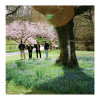 default album img