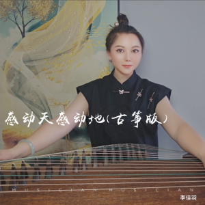 Album 感动天感动地(李佳羽古筝版) from 李佳羽