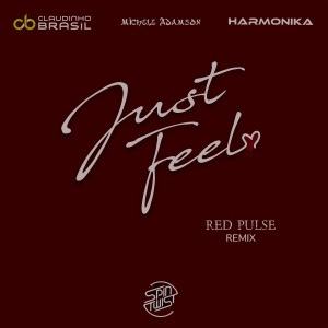 Claudinho Brasil的專輯Just Feel