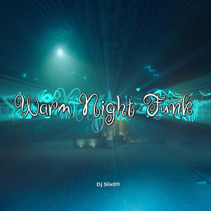 Album Warm Night Funk (Explicit) from Dj Slix011