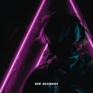 Modulation Sounds的专辑New Beginning