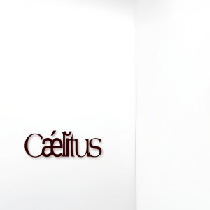 Listen to 첼리투스 (prod. lazy sueng) (Cǽlĭtus) song with lyrics from New Champ