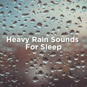 收聽Rain Sounds的Meditation Background Soft Rain歌詞歌曲