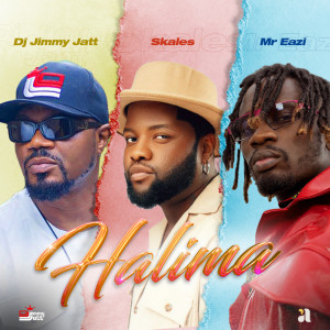 Album Halima oleh DJ Jimmy Jatt