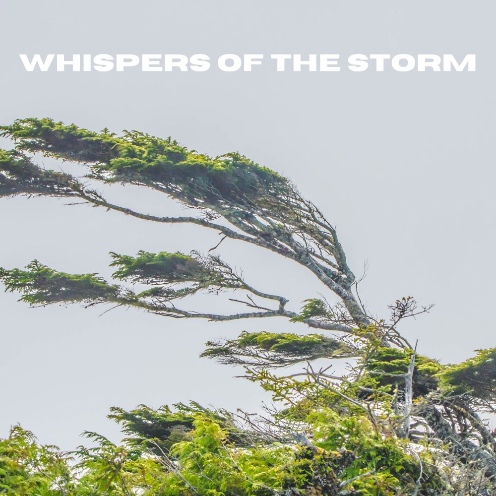 Dreaming Through the Storm (Loopable, No Fade)