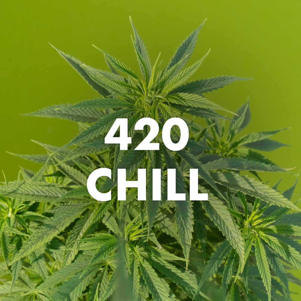 This Weed Iz Mine (Explicit)