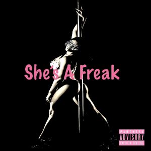 Sickness_Falls的專輯She's A Freak (feat. Sickness_Falls) [Explicit]