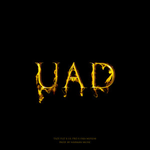 Listen to UAD (Explicit) song with lyrics from Taze Yuz