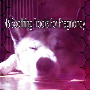 Listen to Tired Mind song with lyrics from SPA