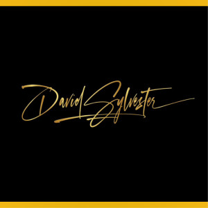 Listen to Spirits song with lyrics from David Sylvester