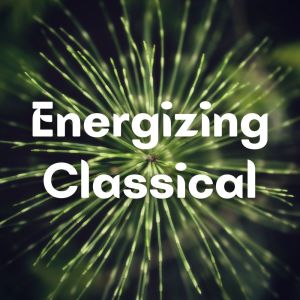 Listen to Concerto Grosso No 11 Op. 6 (II. Allegro) song with lyrics from Slovak Philharmonic Orchestra