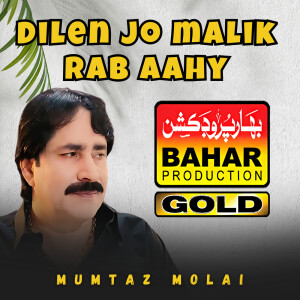 Album Dilen Jo Malik Rab Aahy from Mumtaz Molai