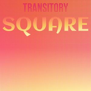收听Daan Maano的Transitory Square歌词歌曲