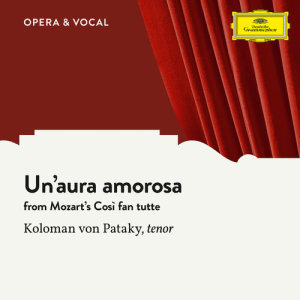 Orchestra的專輯Mozart: Un'aura amorosa