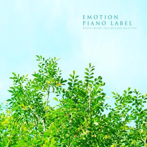 อัลบัม Natural Melody (Healing Piano Collection) (Nature Ver.) ศิลปิน Various Artists