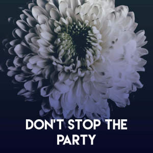 收聽Miami Beatz的Don't Stop the Party歌詞歌曲