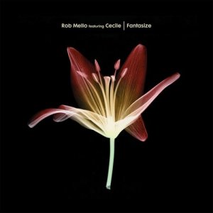 ดาวน์โหลดและฟังเพลง Fantasize (Instrumental Club Mix) [feat. Cecile] พร้อมเนื้อเพลงจาก Rob Mello