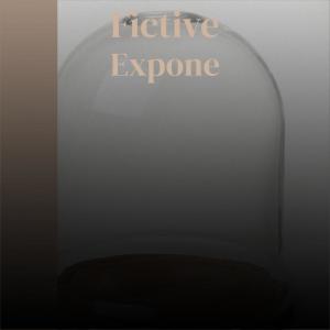 Various Artists的專輯Fictive Expone