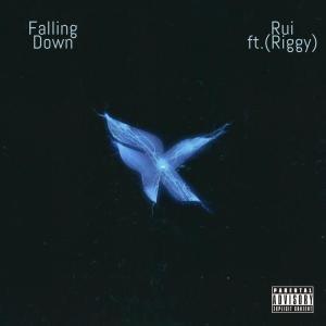 RUI的專輯Falling Down (Explicit)
