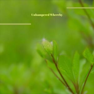 收听Bian Pato的Unhampered Whereby歌词歌曲