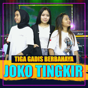 收听ANGGI KENDANG的JOKO TINGKIR歌词歌曲