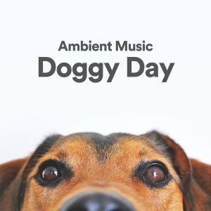 Ambient Music Doggy Day dari Dog Music