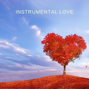 Album Instrumental Love oleh Chris Snelling